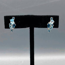 Load image into Gallery viewer, Topaz Earrings